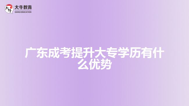 廣東成考提升大專學歷有什么優(yōu)勢