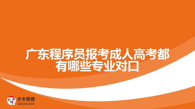 廣東程序員報考成人高考都有哪些專業(yè)對口