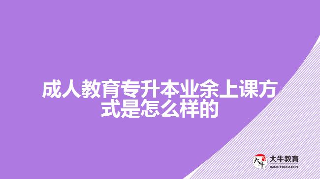 成人教育專升本業(yè)余上課方式是怎么樣的