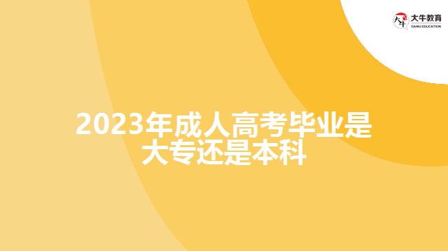 2023年成人高考畢業(yè)是大專(zhuān)還是本科