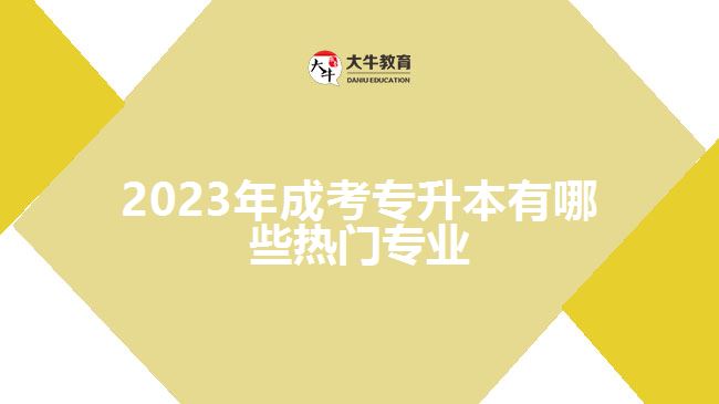 2023年成考專(zhuān)升本有哪些熱門(mén)專(zhuān)業(yè)