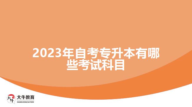 2023年自考專(zhuān)升本有哪些考試科目