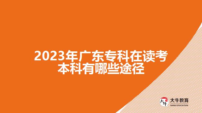 2023年廣東?？圃谧x考本科有哪些途徑