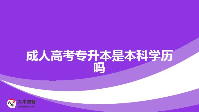 成人高考專升本是本科學(xué)歷嗎