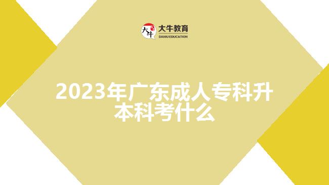 2023年廣東成人?？粕究瓶际裁? width='170' height='105'/></a></dt>
						<dd><a href=