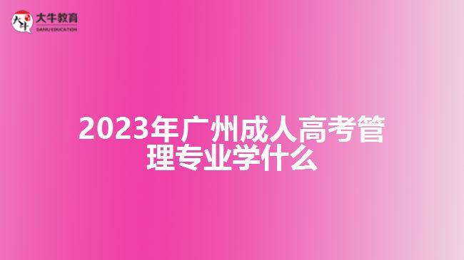 2023年廣州成人高考管理專業(yè)學什么