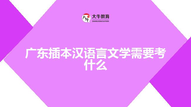 廣東插本漢語(yǔ)言文學(xué)需要考什么