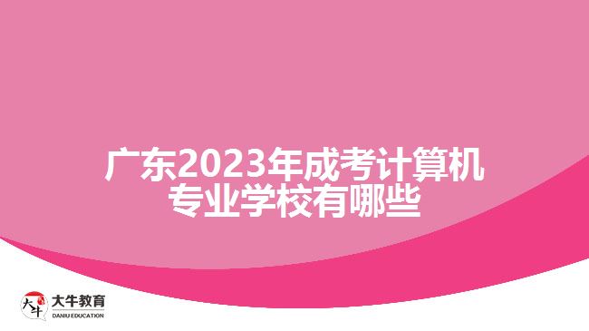 廣東2023年成考計算機專業(yè)學(xué)校有哪些