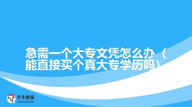 急需一個大專文憑怎么辦