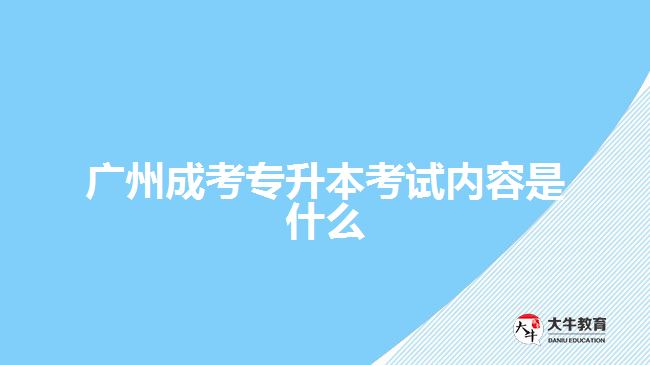 廣州成考專升本考試內(nèi)容是什么