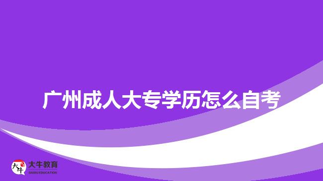 廣州成人大專學(xué)歷怎么自考