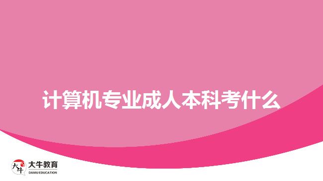 計算機(jī)專業(yè)成人本科考什么