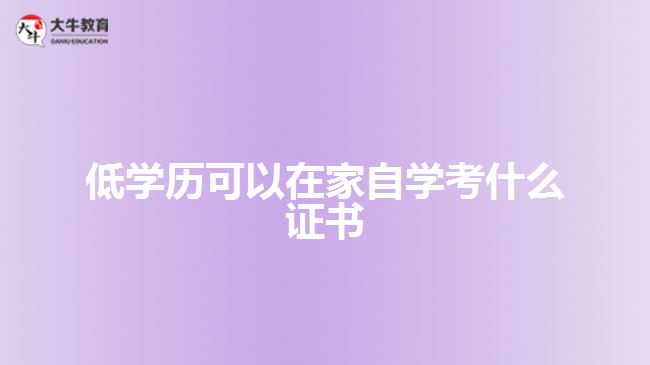 低學(xué)歷可以在家自學(xué)考什么證書(shū)