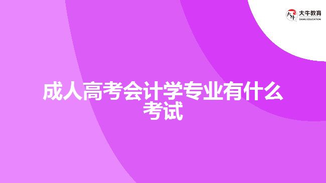 成人高考會計學(xué)專業(yè)有什么考試