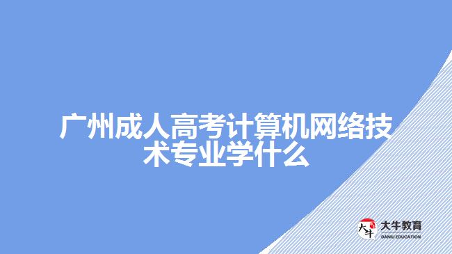 成人高考計算機網絡技術專業(yè)學什么