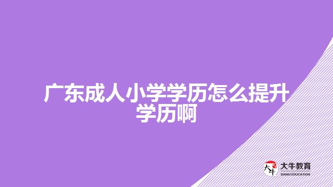 廣東成人小學學歷怎么提升學歷啊