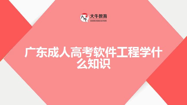 廣東成人高考軟件工程學(xué)什么知識