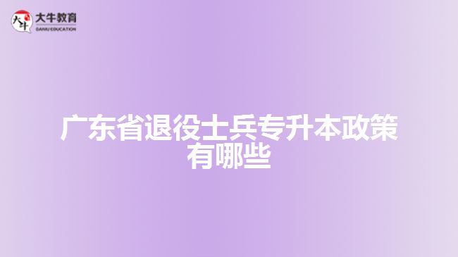 廣東省退役士兵專升本政策有哪些