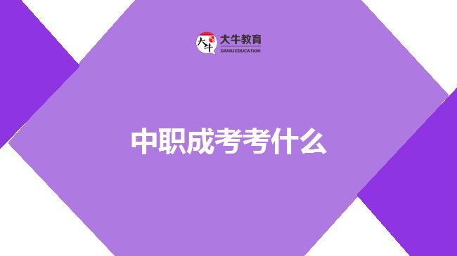 中職成考考什么