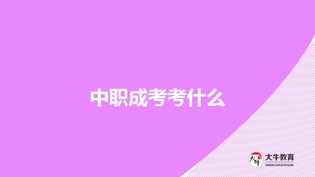 中職成考考什么