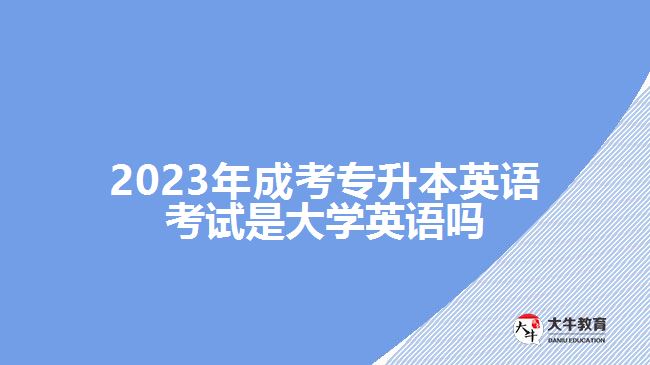 2023年成考專升本英語考試是大學英語嗎