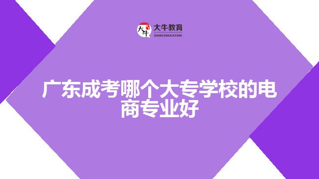 廣東成考哪個大專學(xué)校的電商專業(yè)好