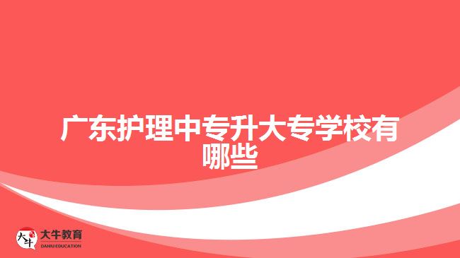 廣東護理中專升大專學校有哪些