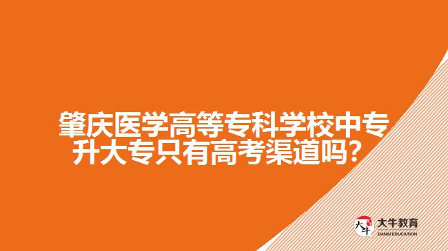 肇慶醫(yī)學(xué)高等專科學(xué)校中專升大專只有高考渠道嗎？