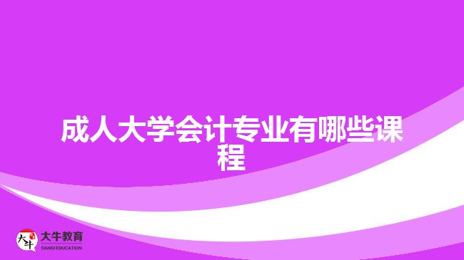 成人大學(xué)會計專業(yè)有哪些課程