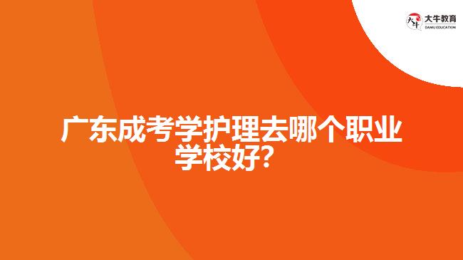 廣東成考學護理去哪個職業(yè)學校好？