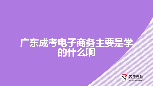 廣東成考電子商務(wù)主要是學的什么啊