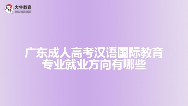 廣東成人高考漢語(yǔ)國(guó)際教育專(zhuān)業(yè)就業(yè)方向有哪些