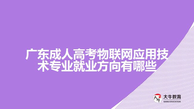 廣東成人高考物聯(lián)網(wǎng)應用技術(shù)專業(yè)就業(yè)方向有哪些