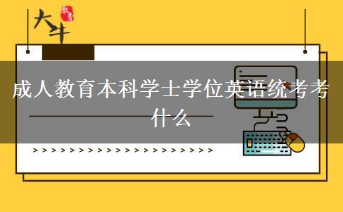 成人教育本科學(xué)士學(xué)位英語統(tǒng)考考什么