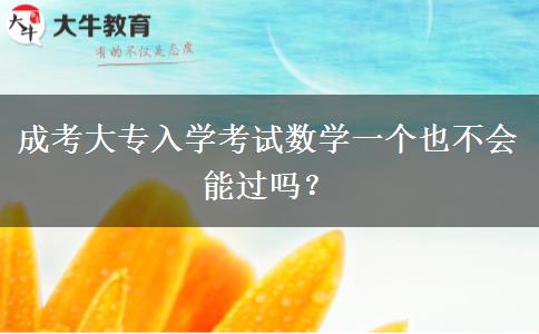 成考大專入學(xué)考試數(shù)學(xué)一個(gè)也不會(huì)能過嗎？