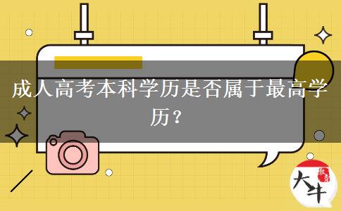 成人高考本科學(xué)歷是否屬于最高學(xué)歷？