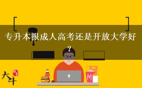 專升本報(bào)成人高考還是開放大學(xué)好？