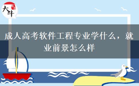 成人高考軟件工程專業(yè)學(xué)什么，就業(yè)前景怎么樣