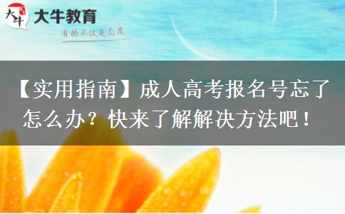 成人高考報名號忘了怎么辦？