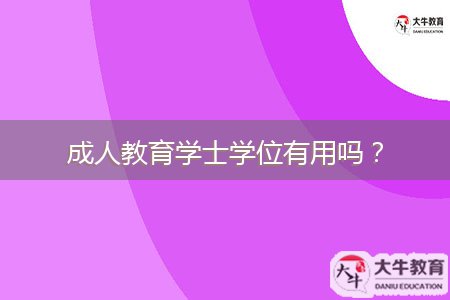 成人教育學(xué)士學(xué)位有用嗎？