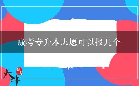 成考專升本志愿可以報(bào)幾個(gè)