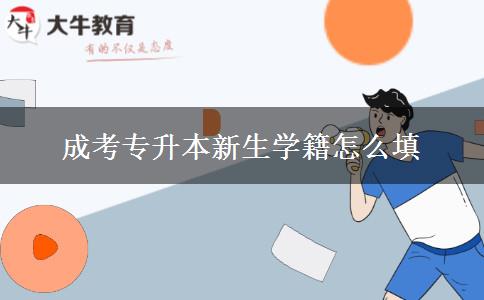 成考專升本新生學籍怎么填