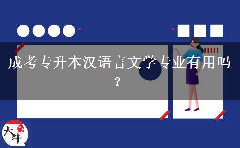 成考專升本漢語言文學專業(yè)有用嗎？