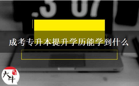 成考專升本提升學歷能學到什么