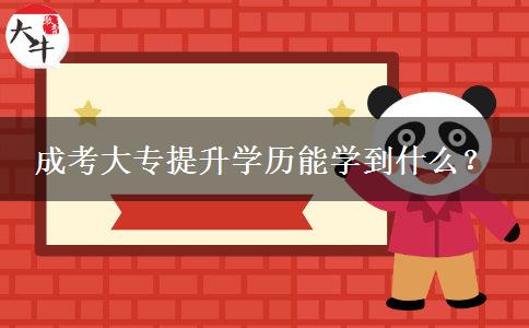 成考大專提升學(xué)歷能學(xué)到什么？