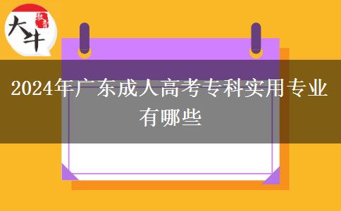 2024年廣東成人高考?？茖嵱脤I(yè)有哪些