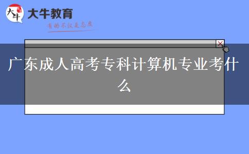 廣東成人高考?？朴嬎銠C專業(yè)考什么