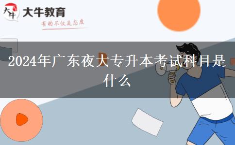 2024年廣東夜大專升本考試科目是什么