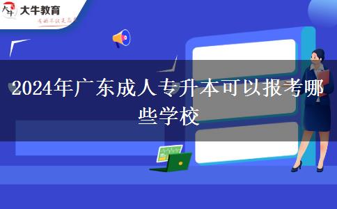 2024年廣東成人專升本可以報(bào)考哪些學(xué)校