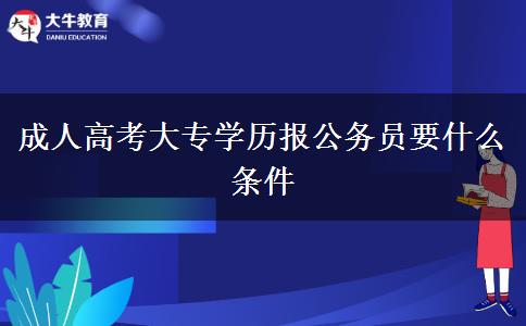 成人高考大專學(xué)歷報公務(wù)員要什么條件